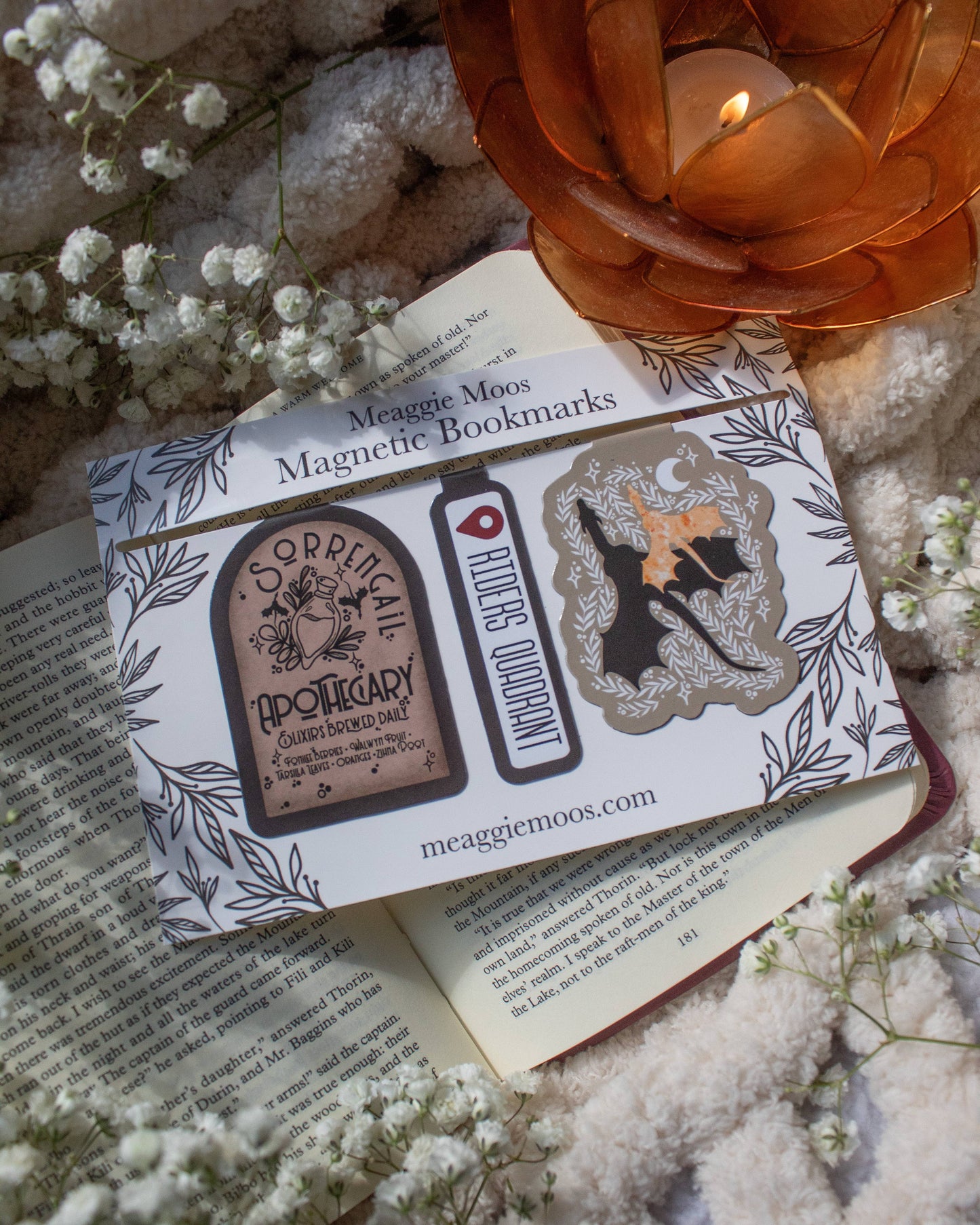 Fourth Wing Magnetic Bookmarks-Set of 3