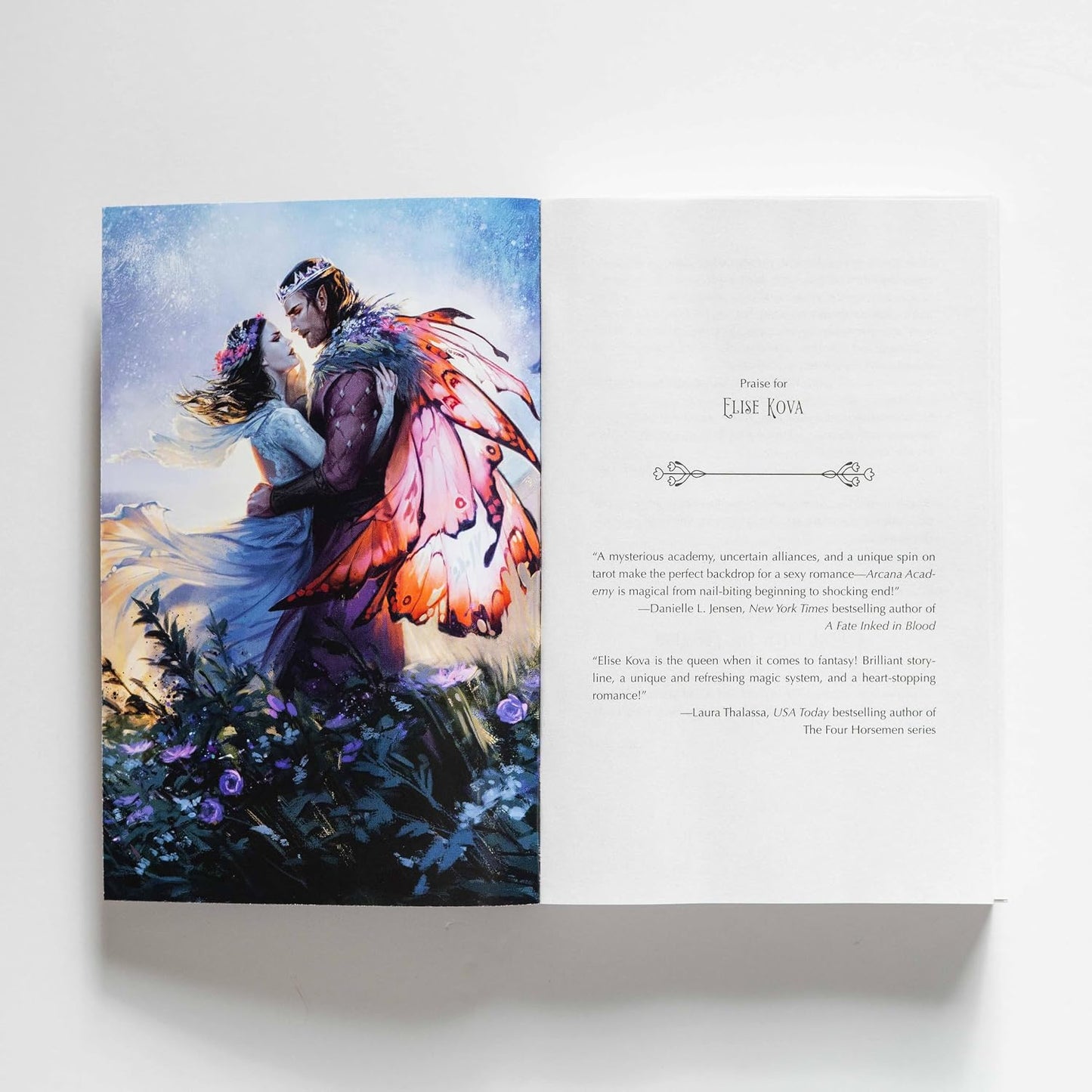 A Dance with The Fae Prince
