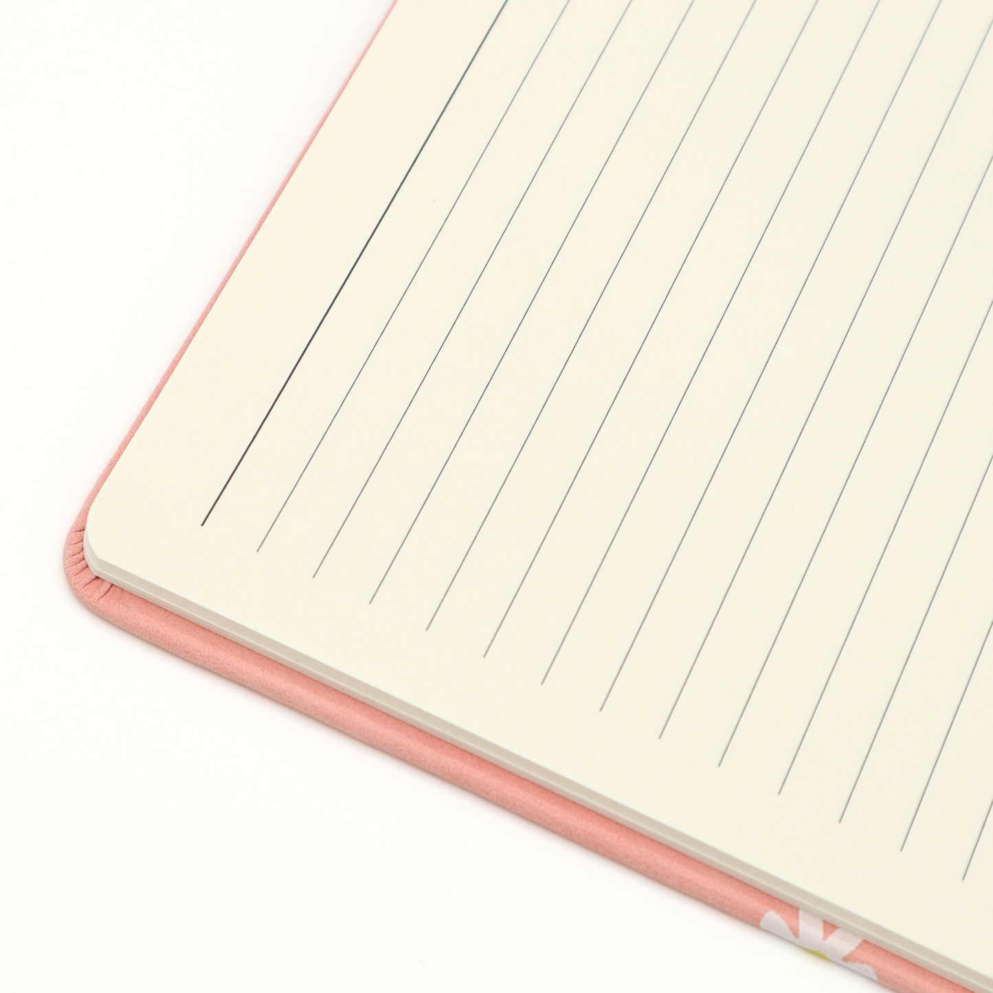 Don’t Be A Dick - Strawberry Vegan Leather A5 Journal