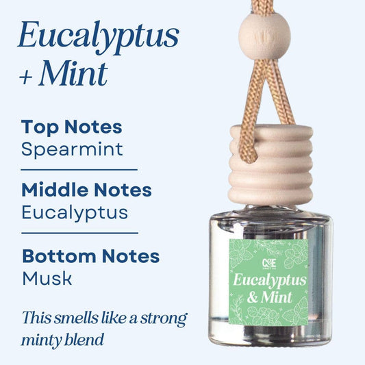 Eucalyptus & Mint - Hanging Scented Car Fragrance